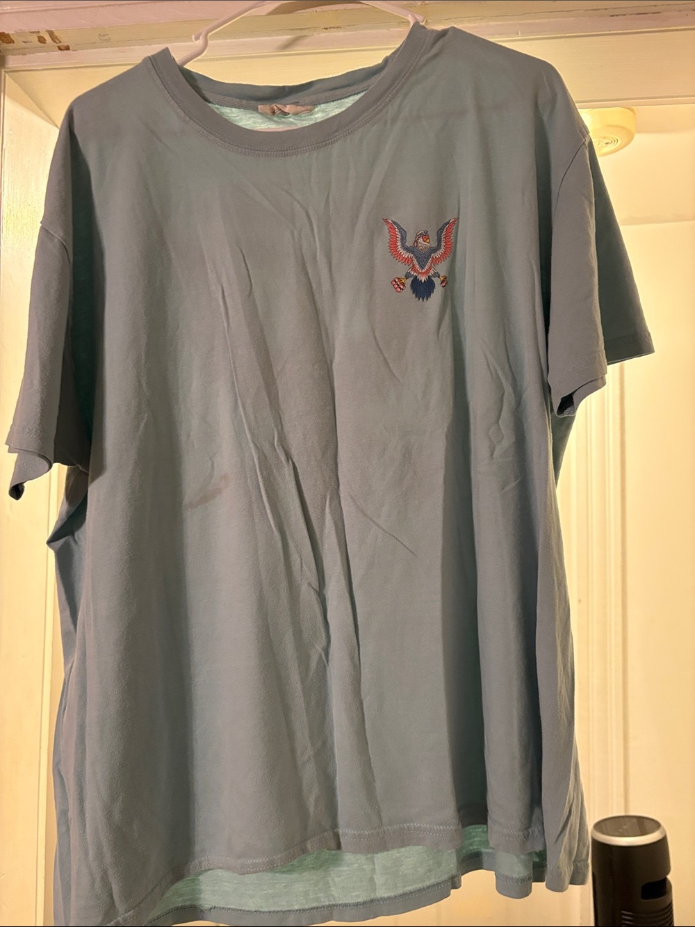 Simply Southern Light Blue Short-Sleeve Tee with Embroidered Eagle